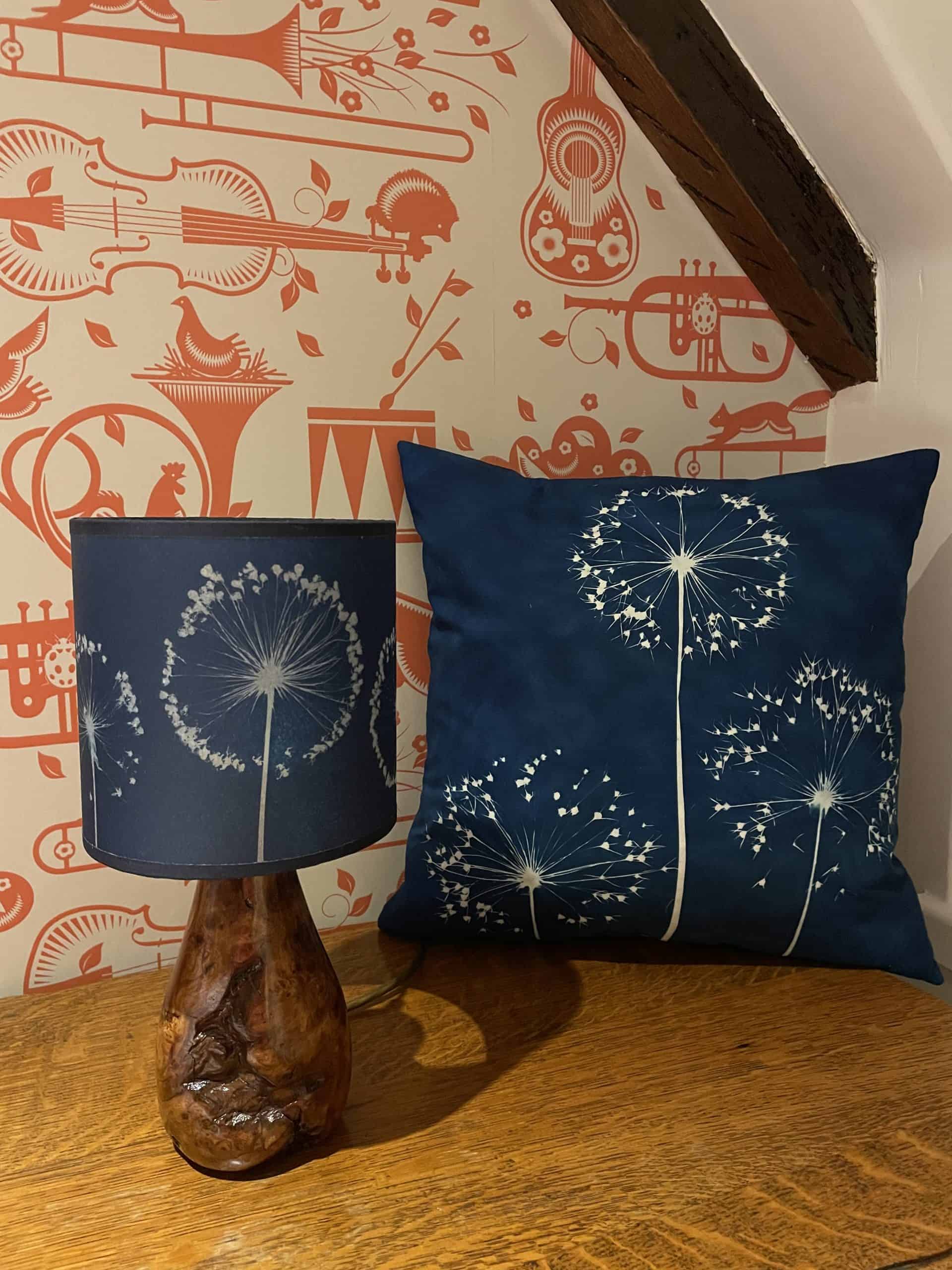 allium lamp & cushion An image to depict time