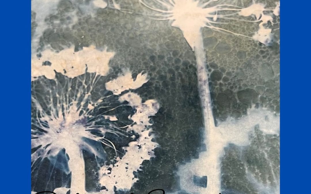 Cyanotype beyond the traditional – pushing the boundaries